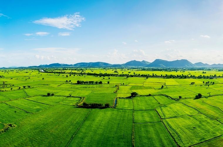 Tarım ve ticari amaçlı devlet arazisi nasıl kiralanır başvuru adımları.