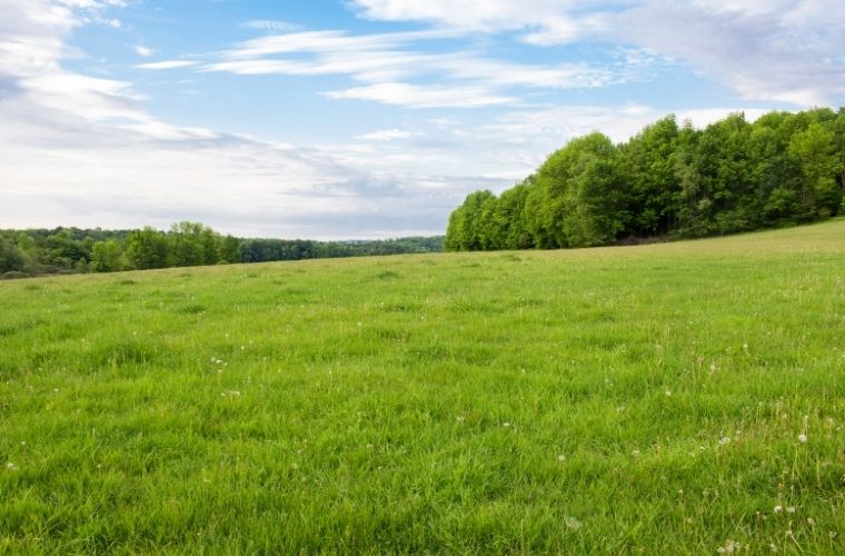 Emlak piyasasında dönüm ne demektir ve arazi ölçüm hesaplamaları.