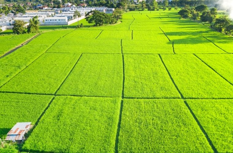 Tapuda hisseli arsa alırken nelere dikkat edilmeli ve ortaklık sözleşmeleri.