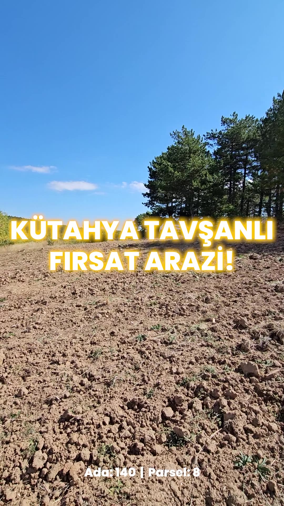 Video önizleme