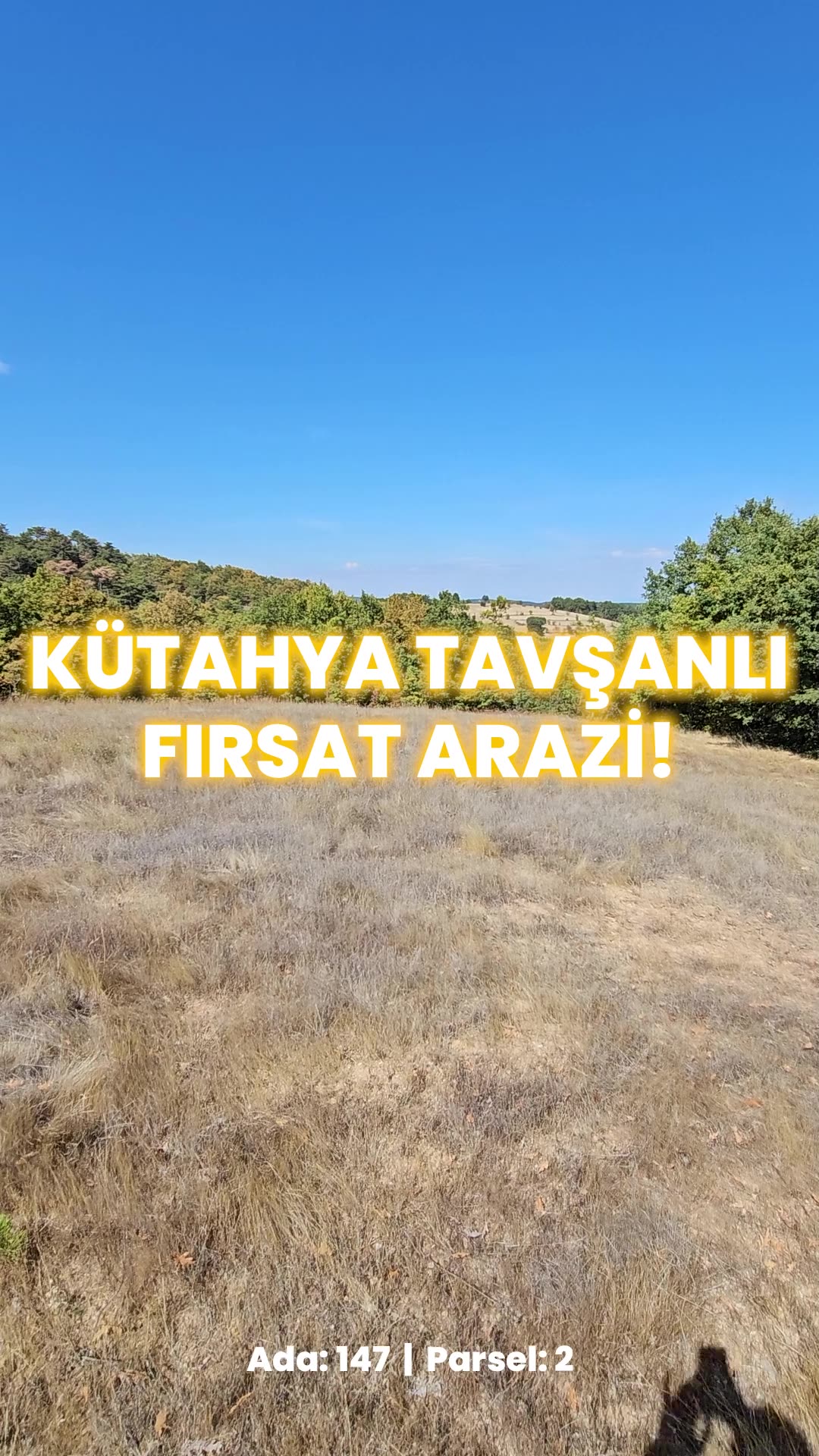 Video önizleme