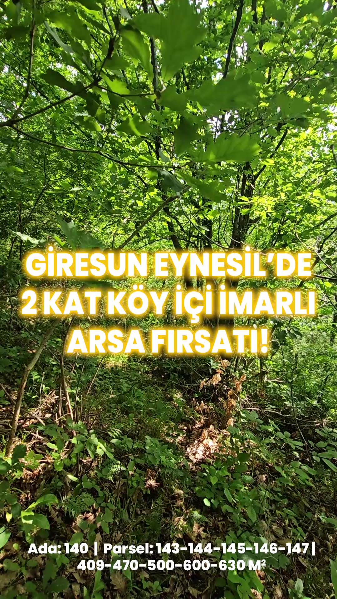 Video önizleme
