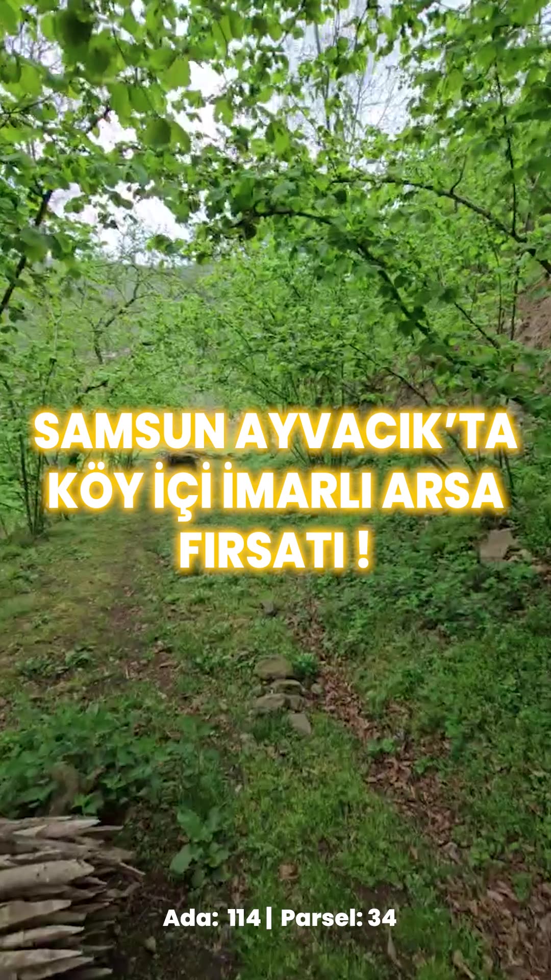 Video önizleme