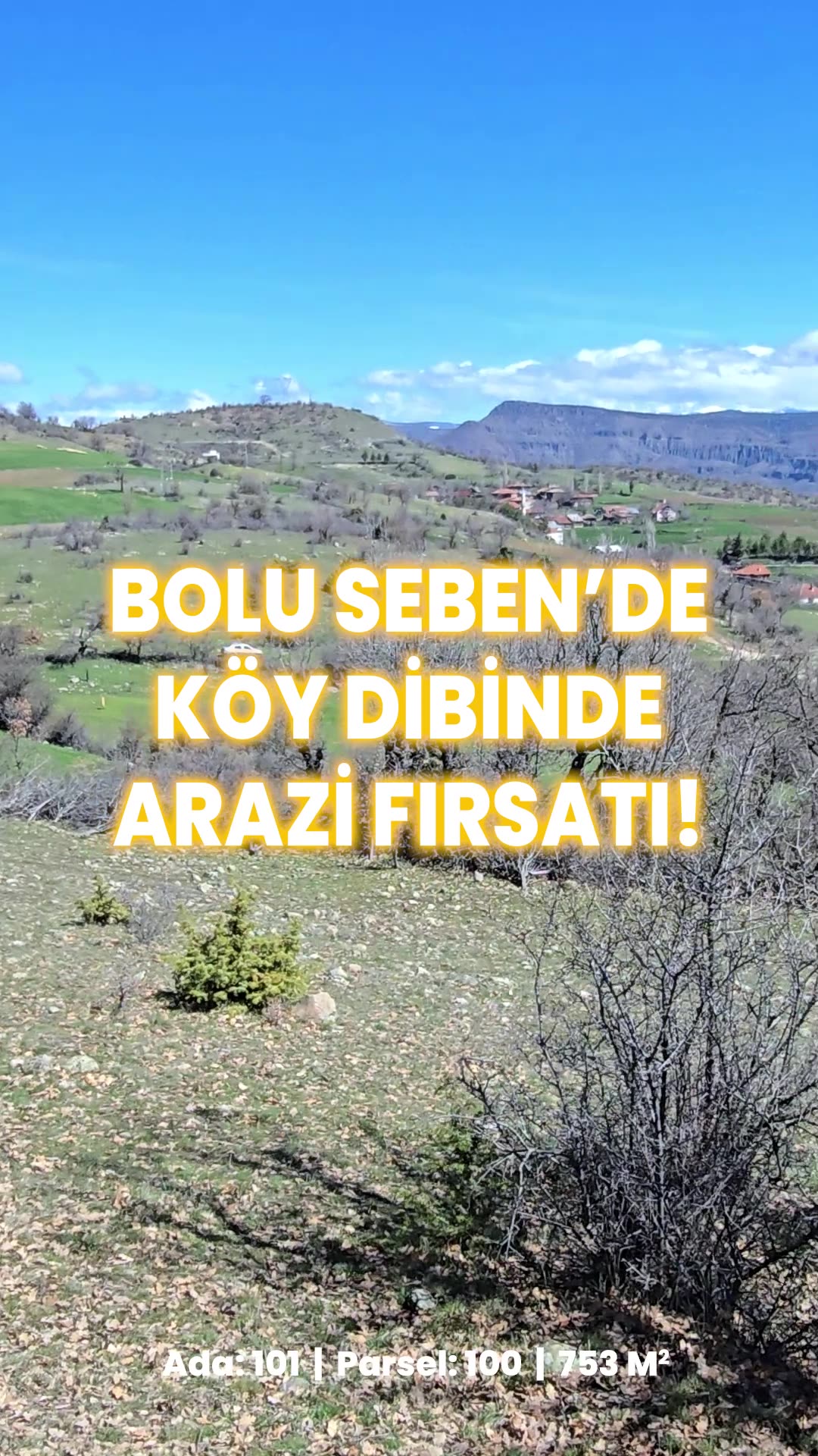 Video önizleme