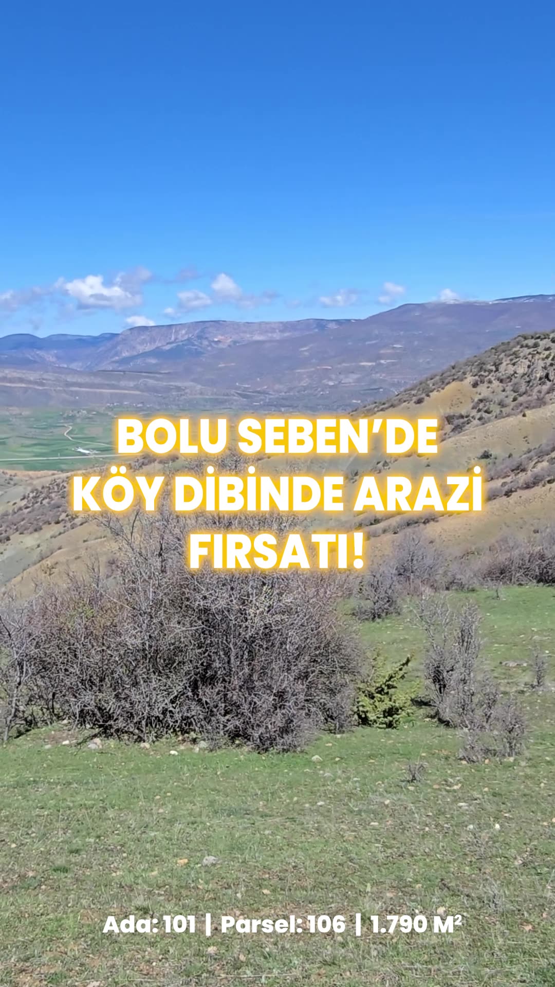 Video önizleme