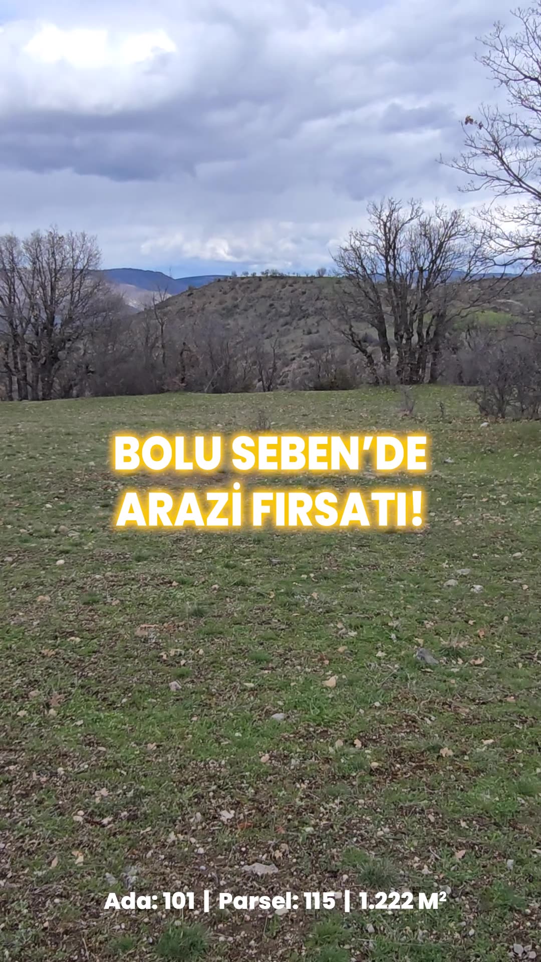 Video önizleme
