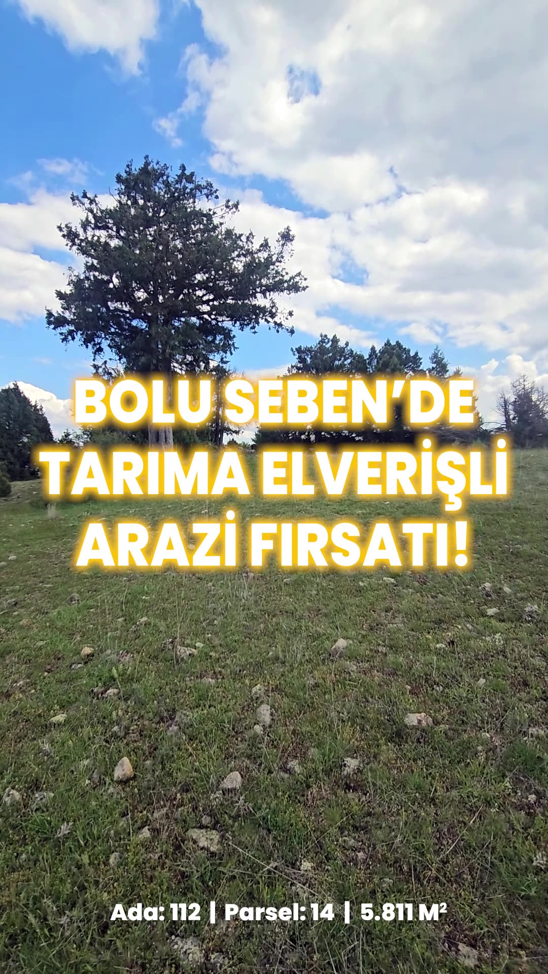 Video önizleme