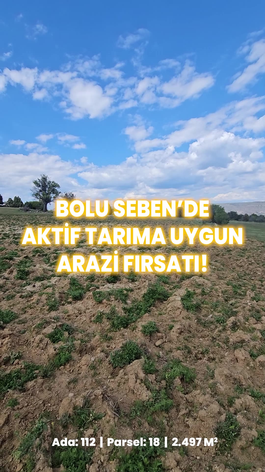 Video önizleme