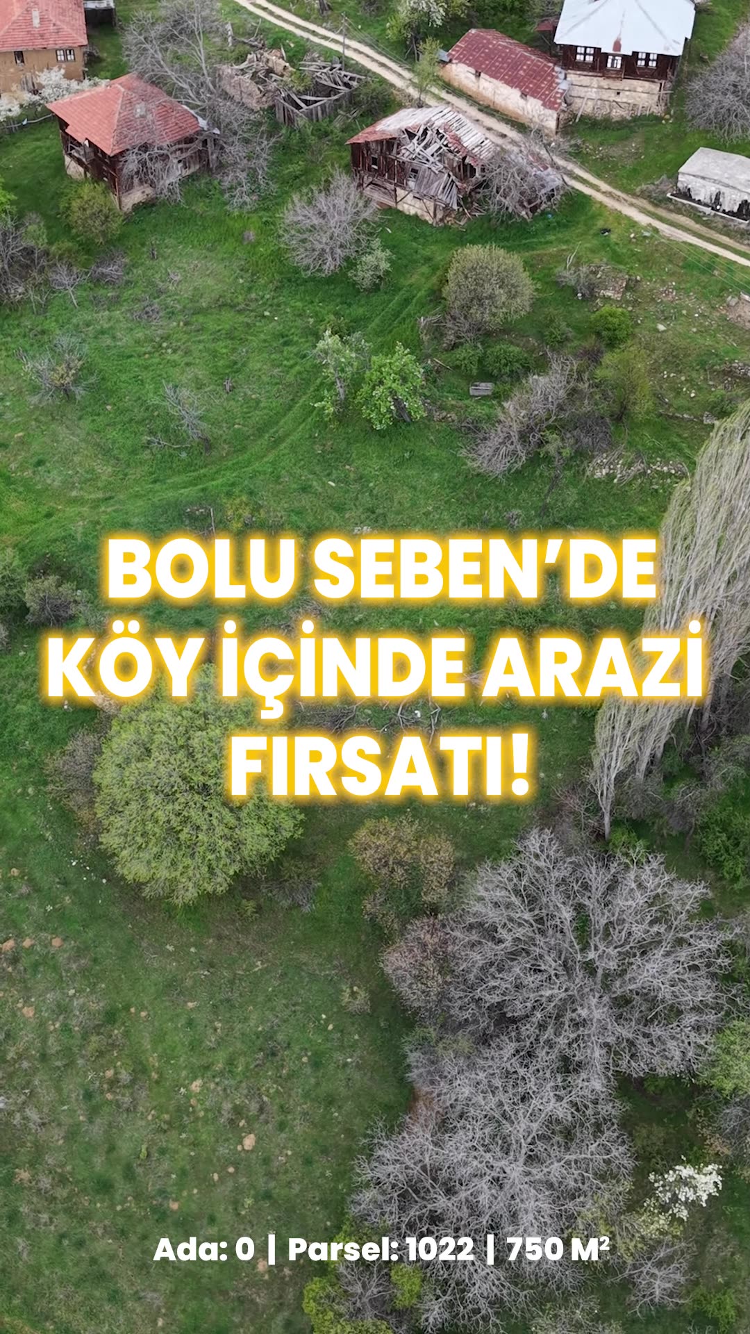 Video önizleme