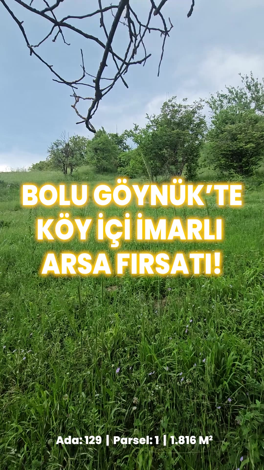 Video önizleme