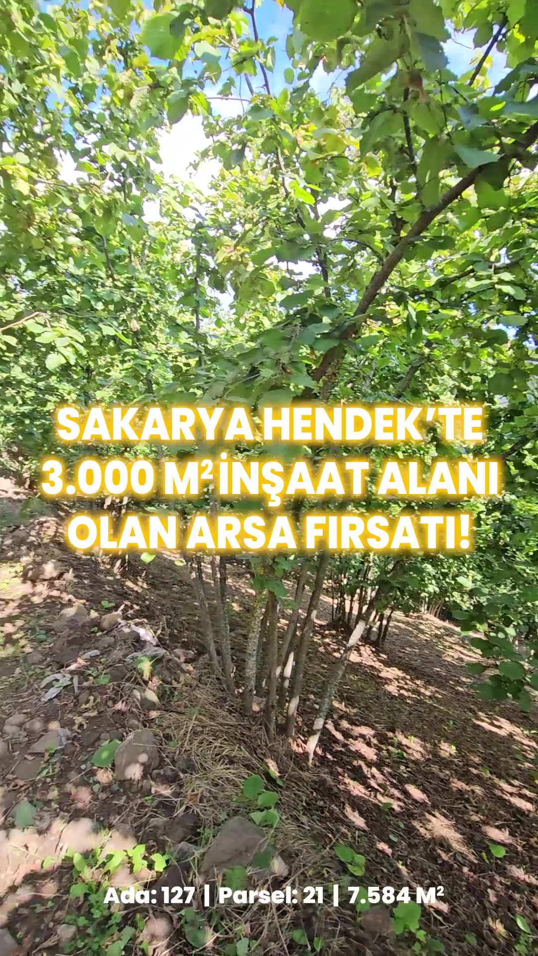 Video önizleme