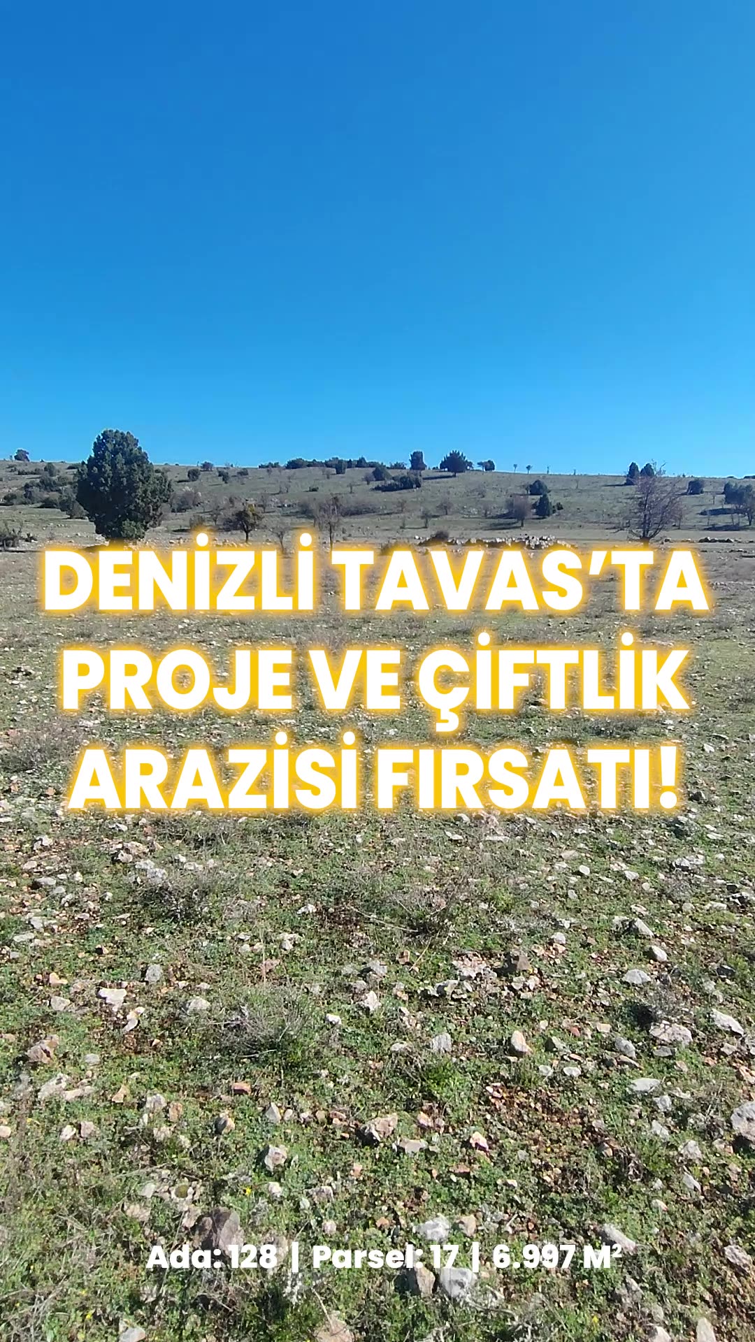 Video önizleme