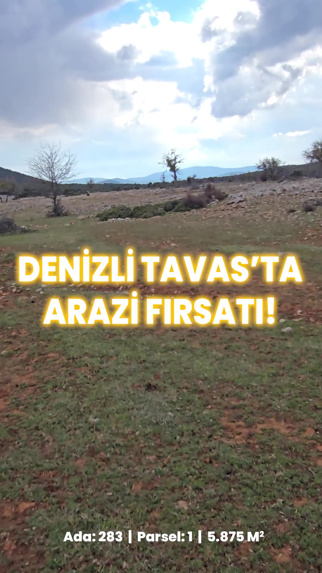 Video önizleme