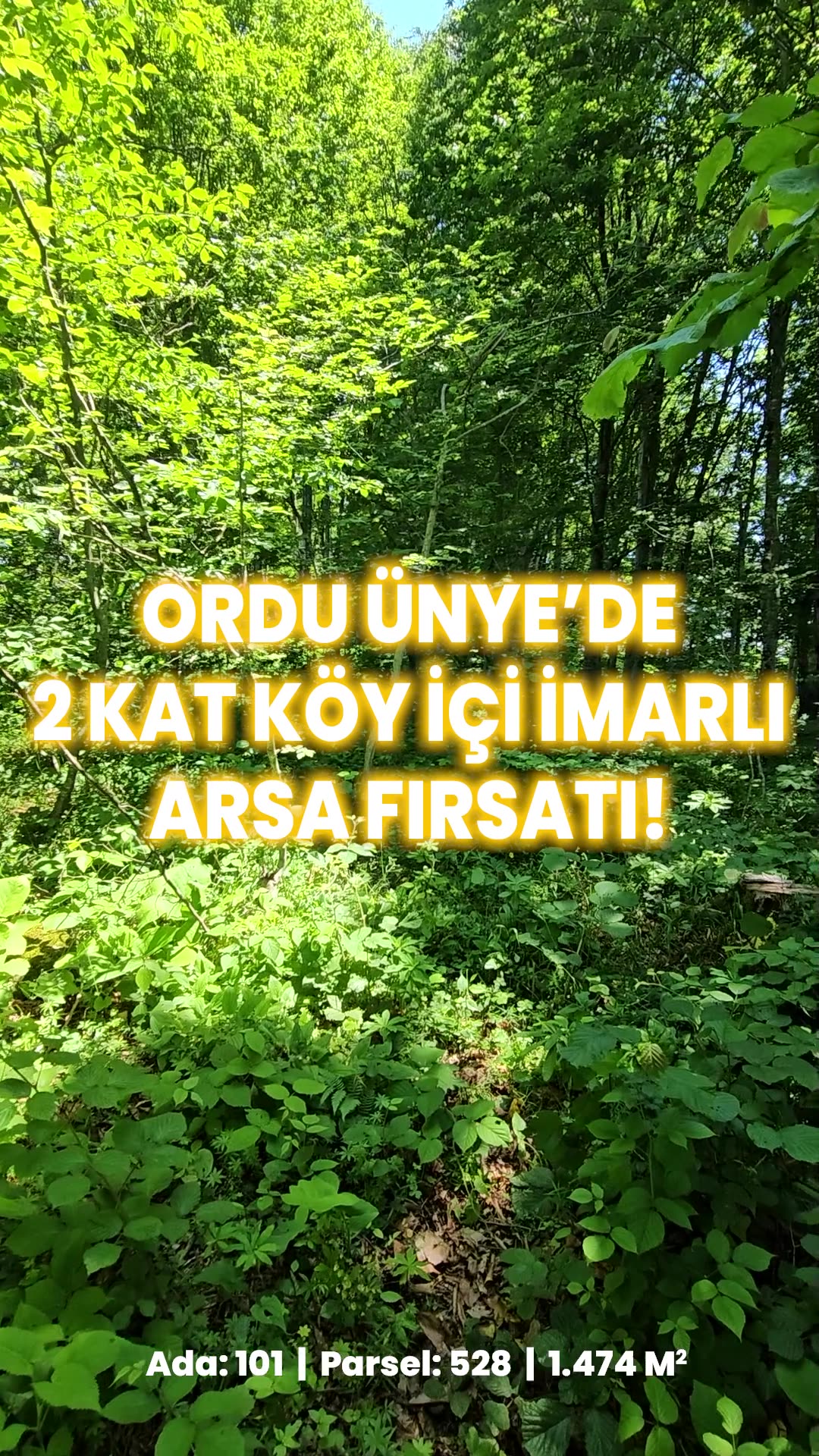 Video önizleme