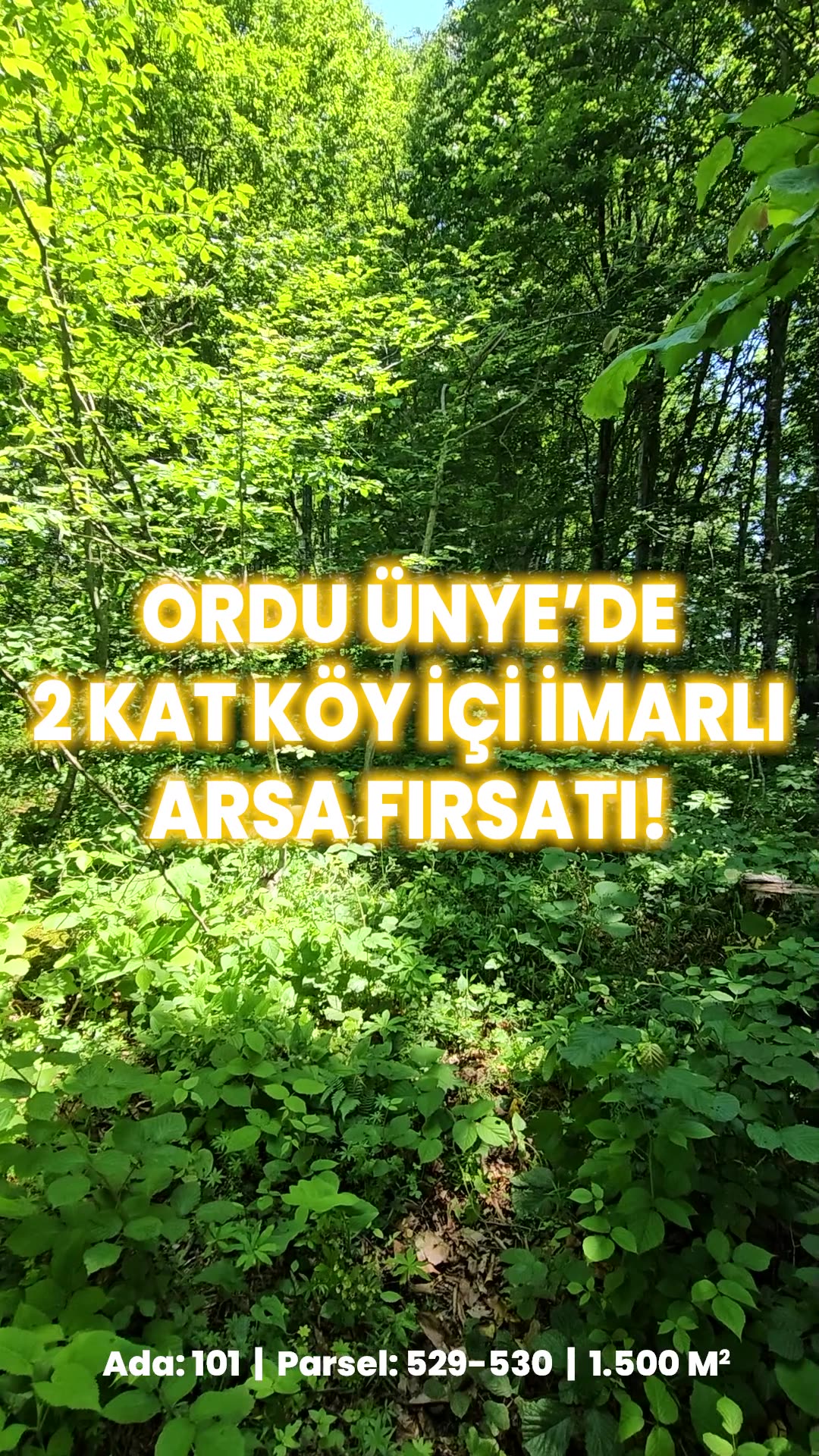 Video önizleme