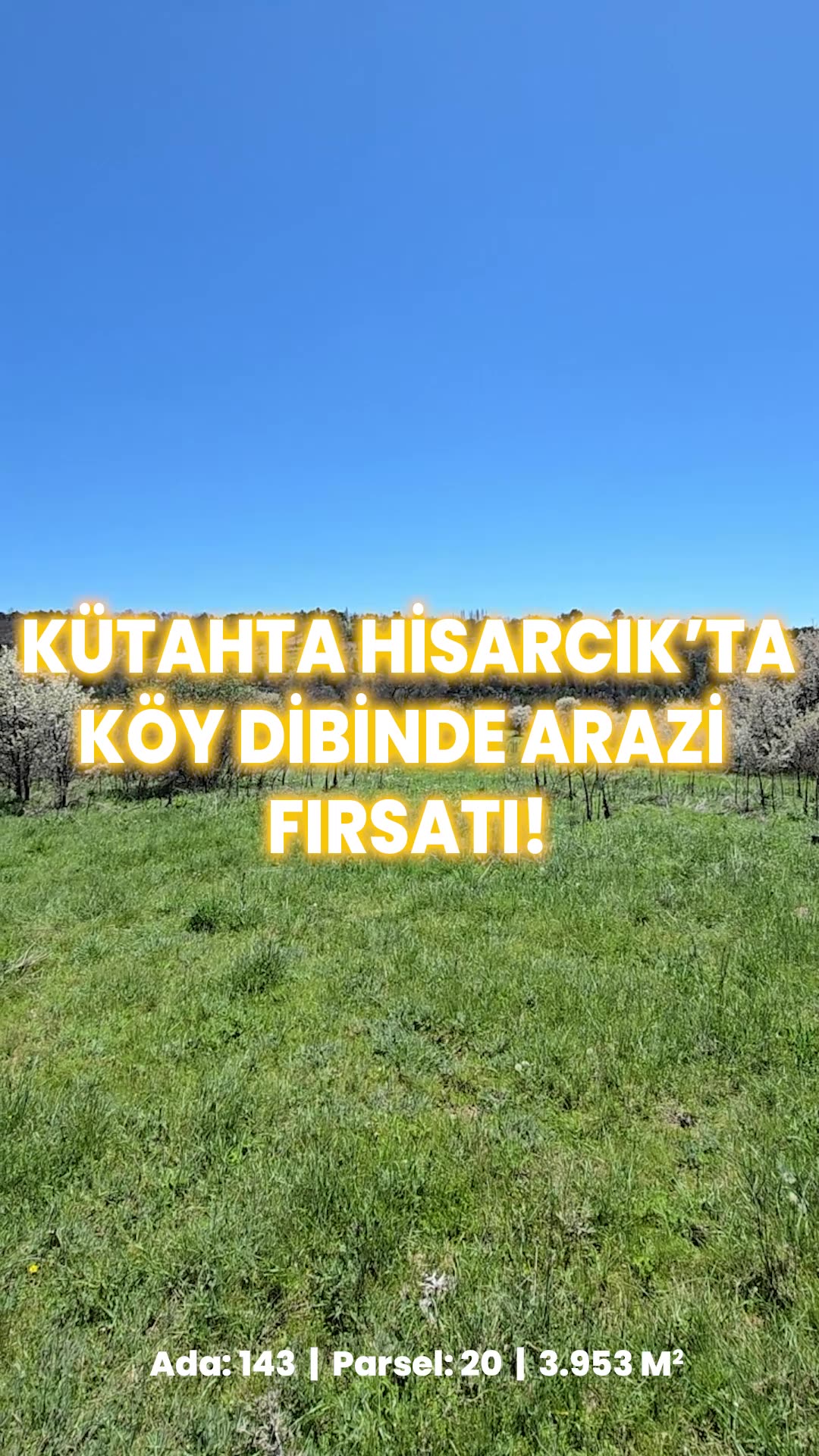 Video önizleme