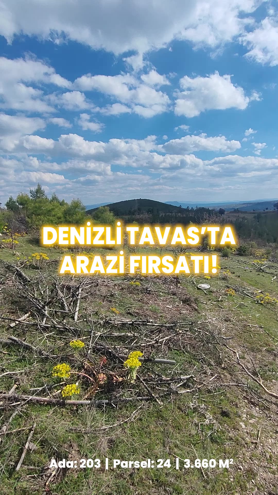 Video önizleme