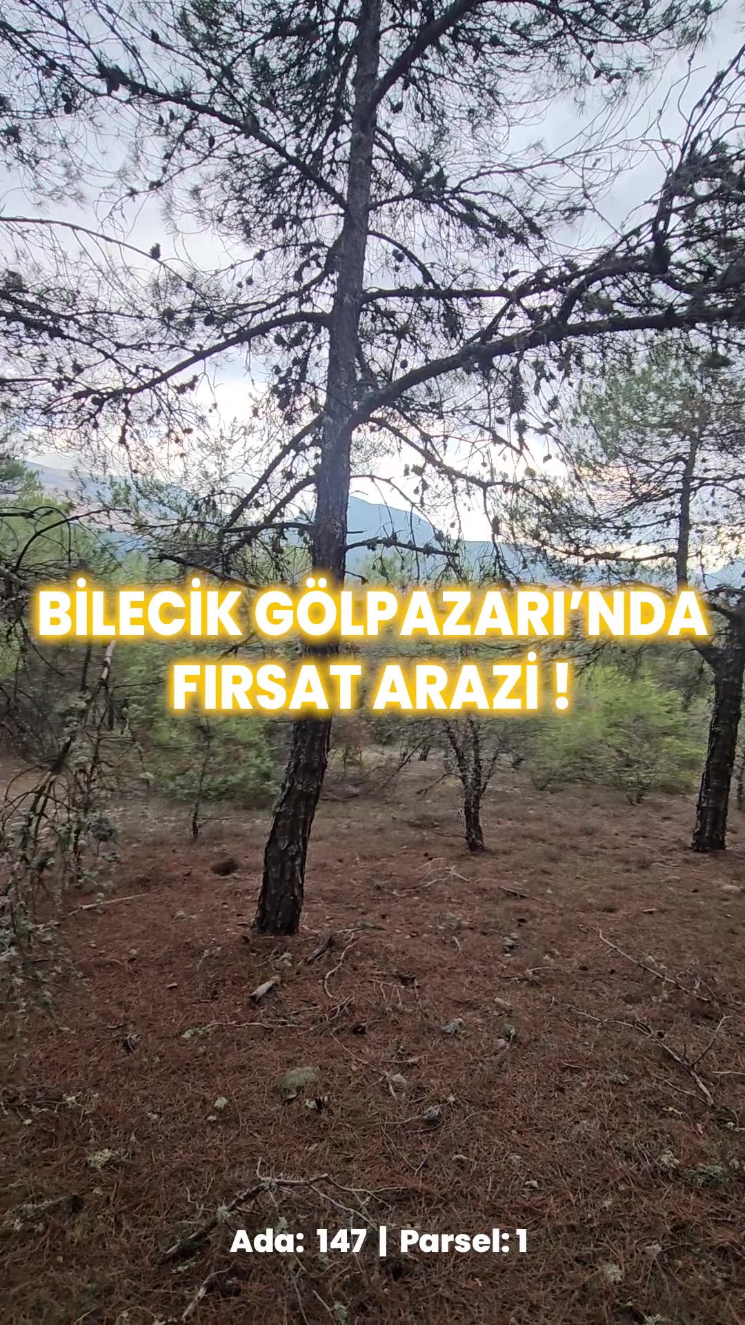 Video önizleme