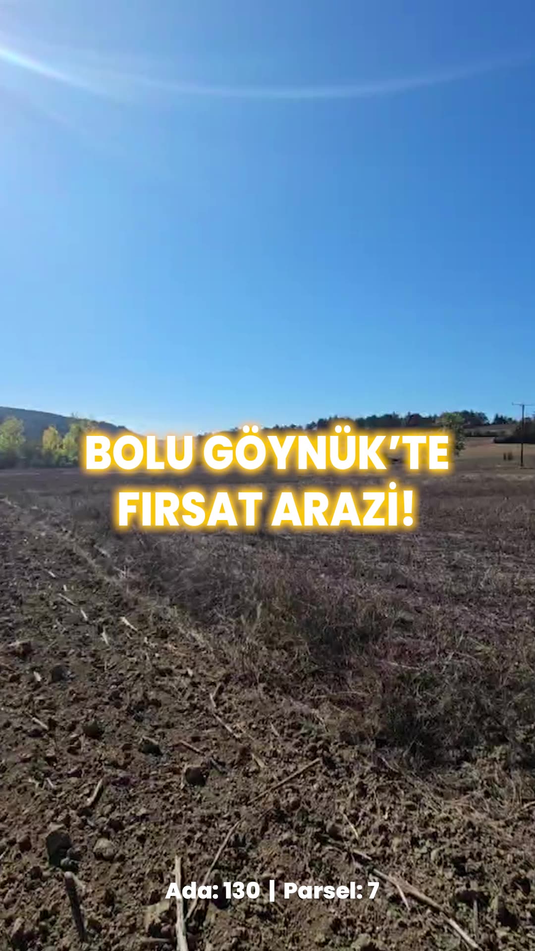 Video önizleme