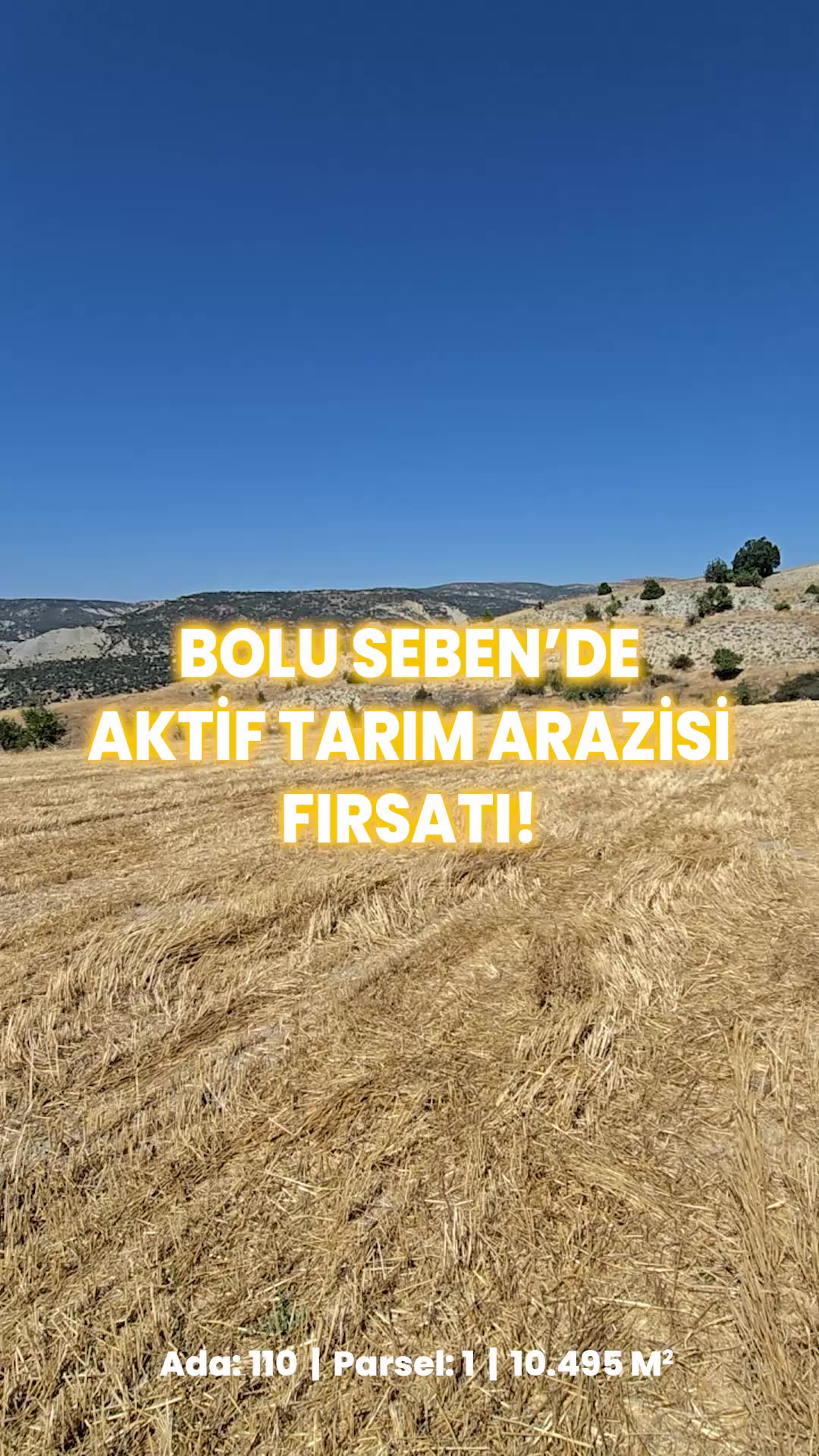 Video önizleme