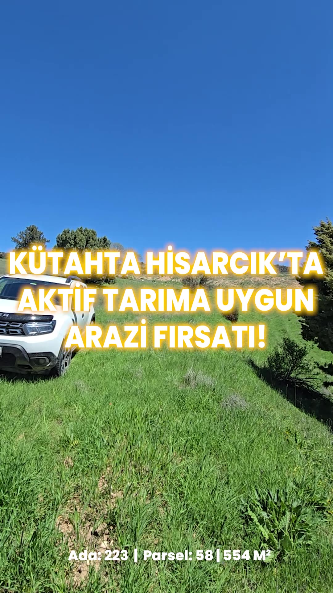 Video önizleme