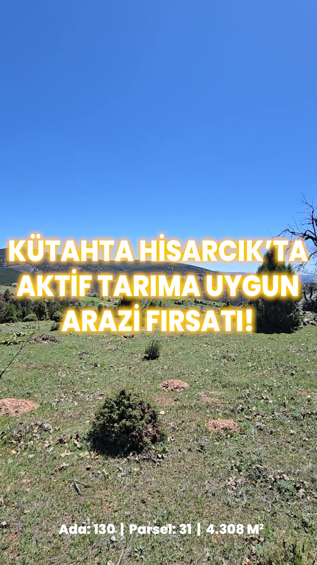 Video önizleme