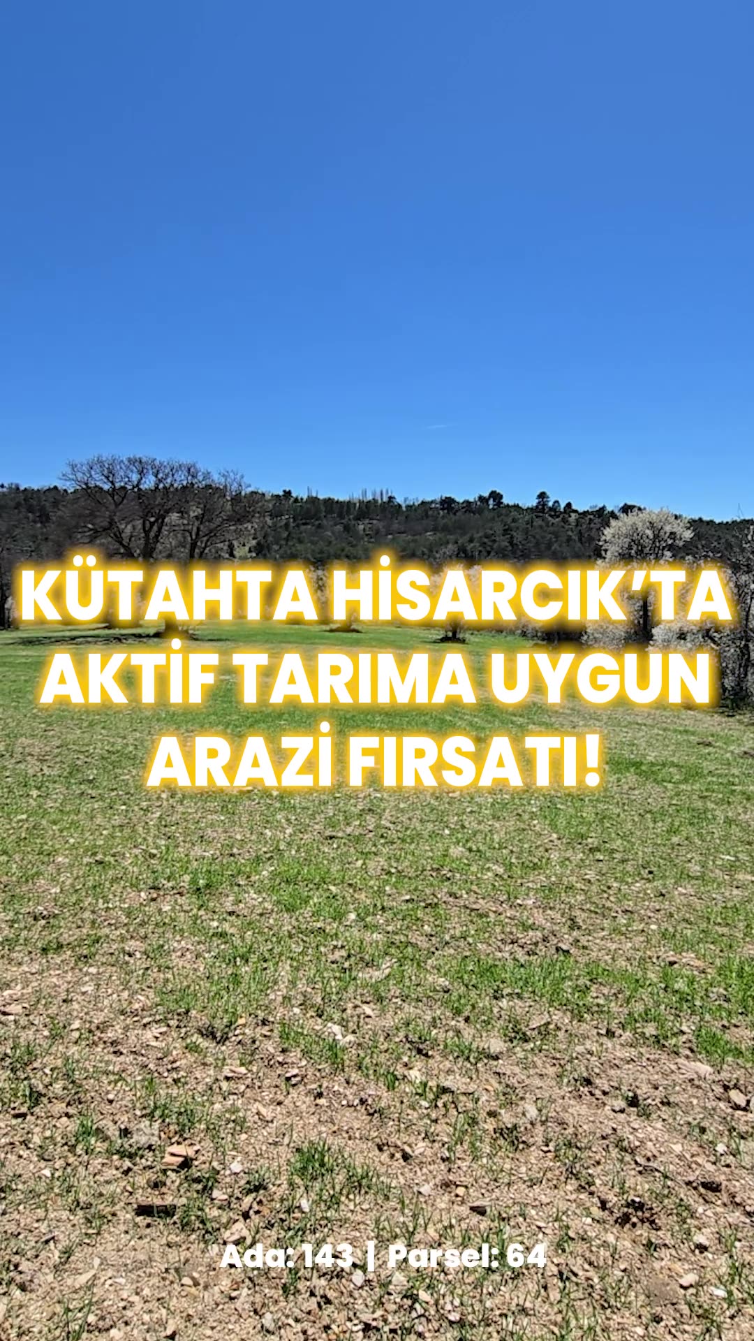 Video önizleme