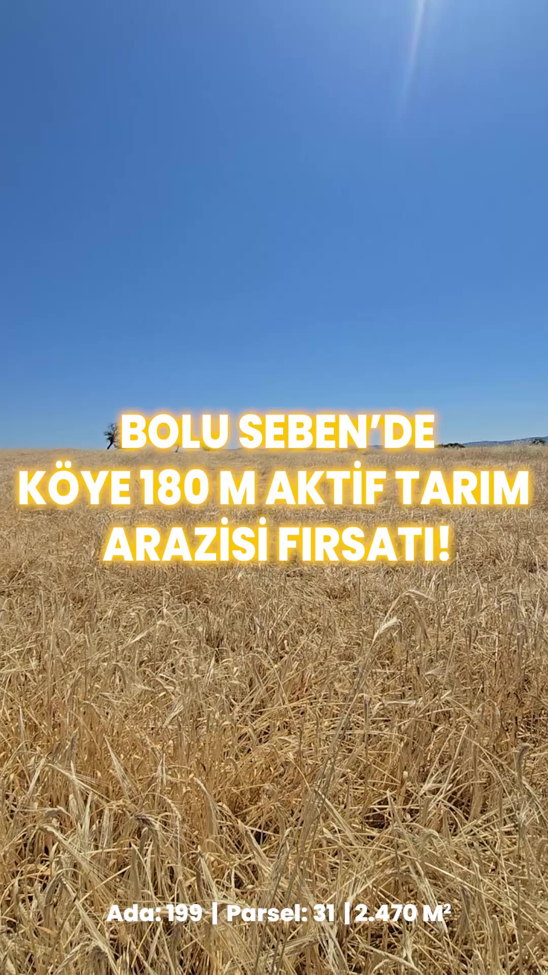 Video önizleme