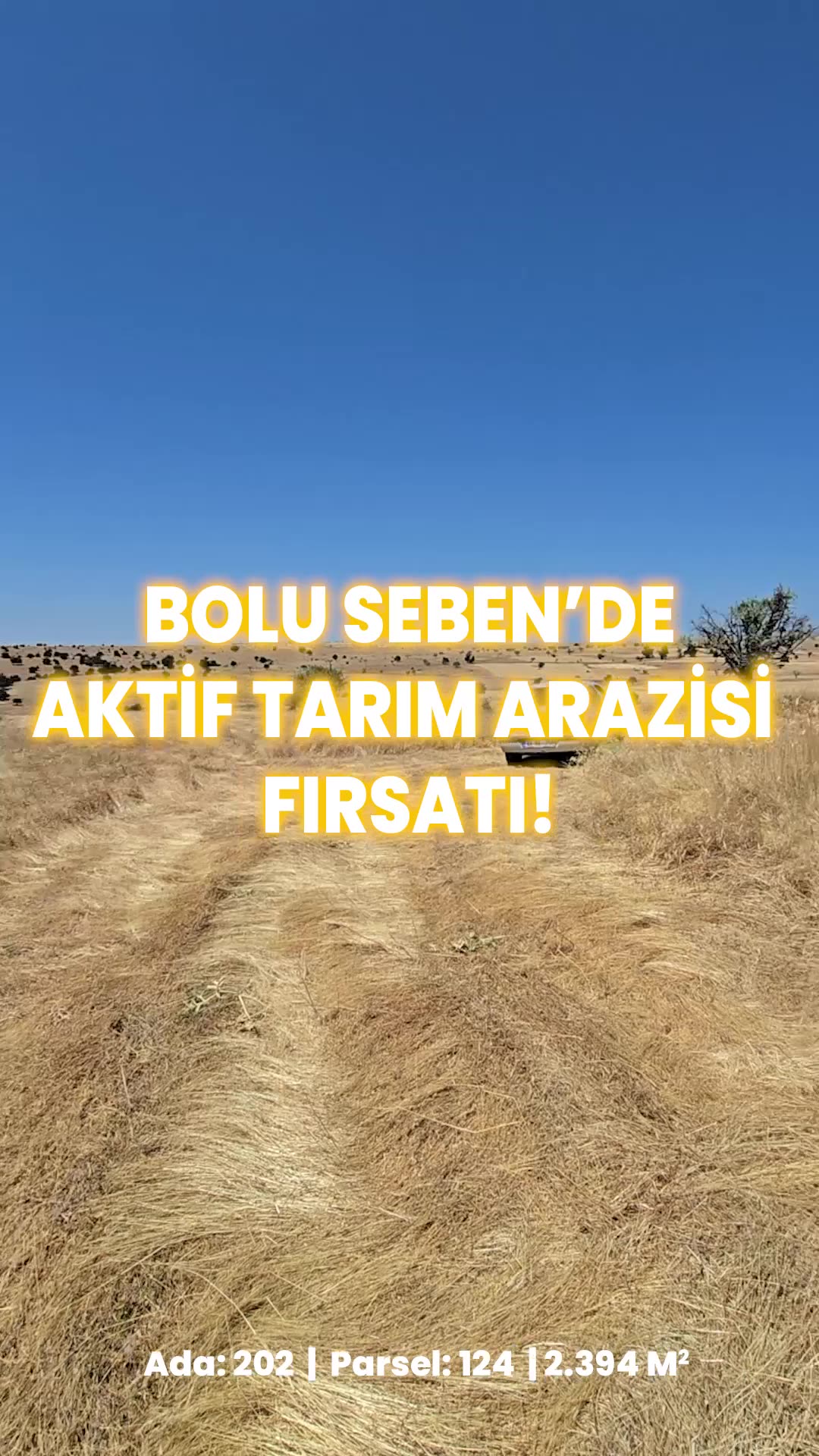 Video önizleme