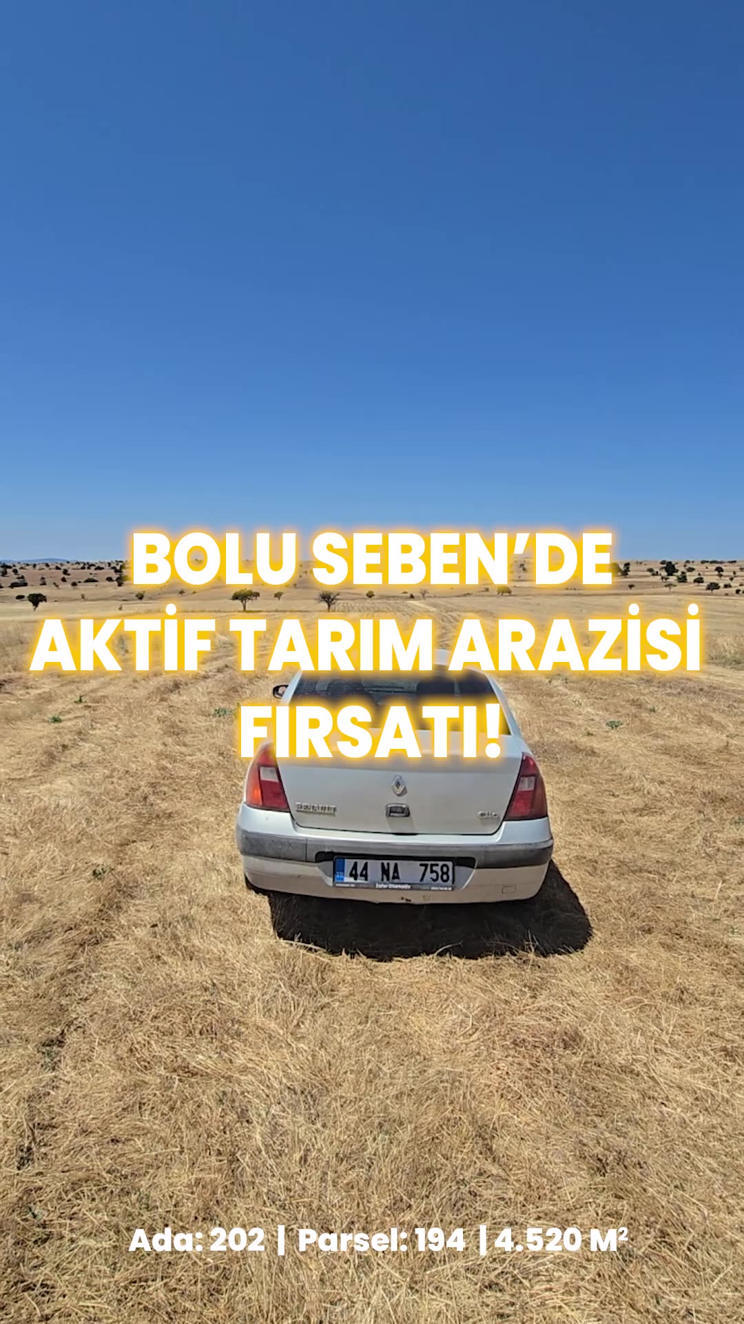 Video önizleme