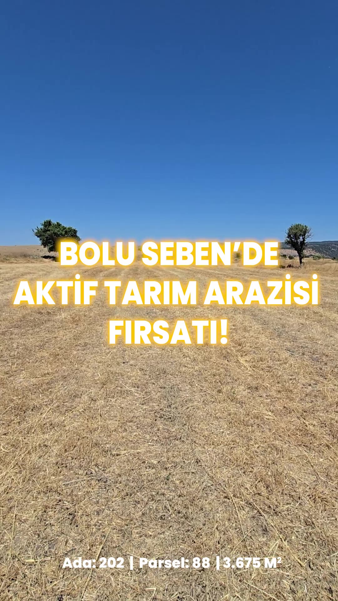 Video önizleme