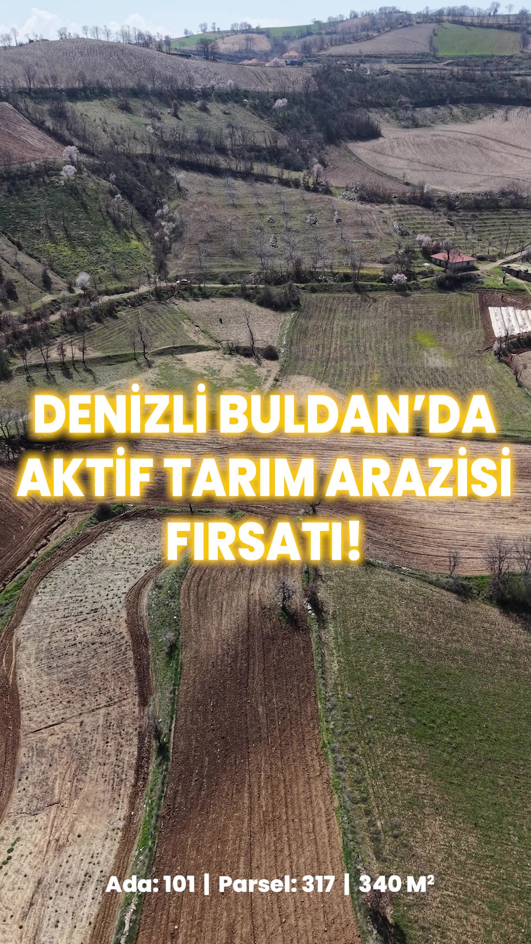 Video önizleme