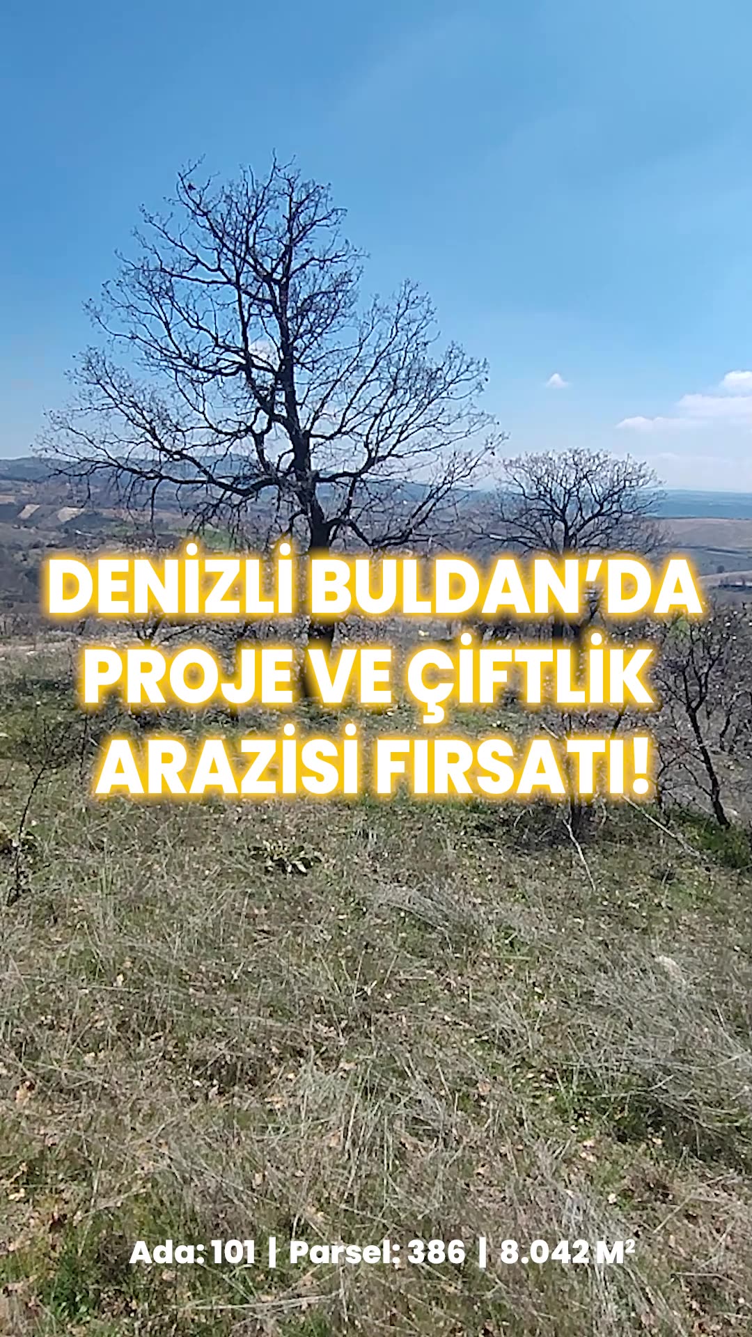 Video önizleme