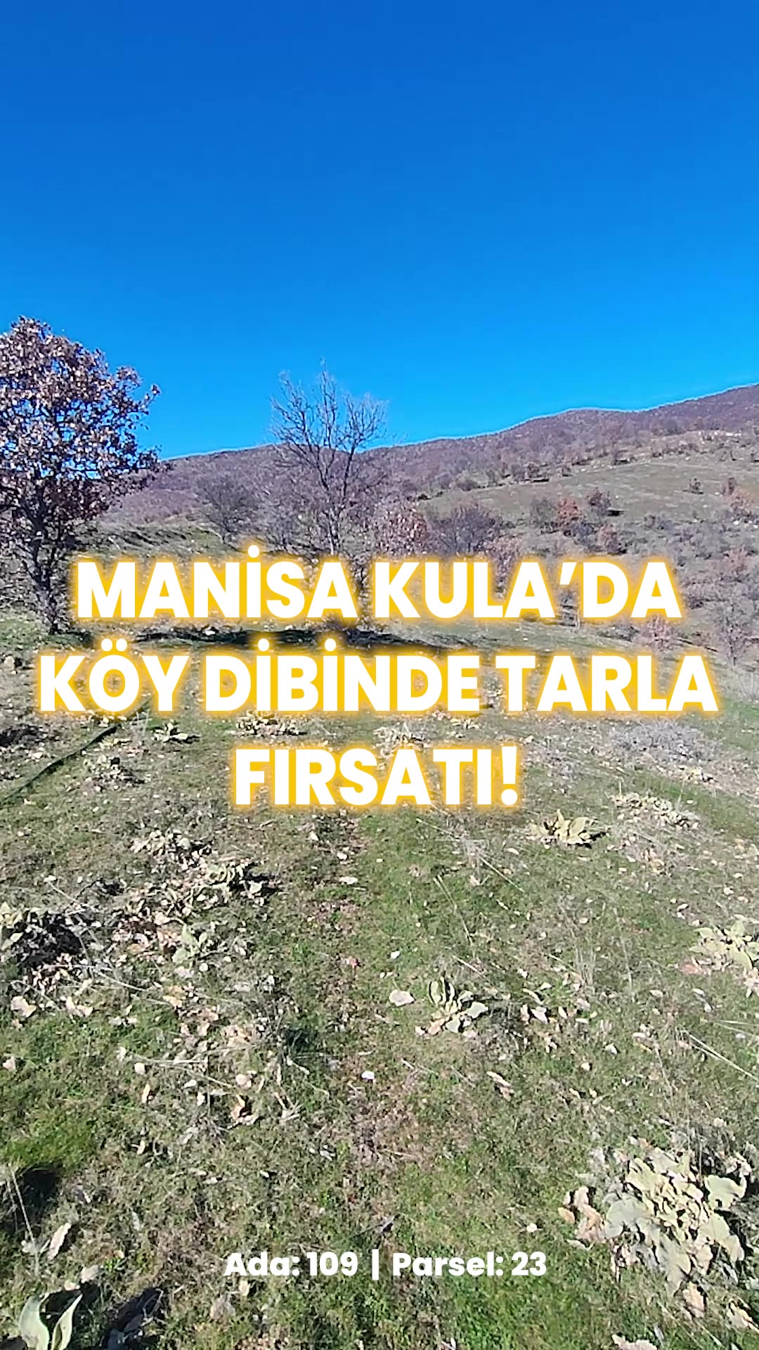 Video önizleme