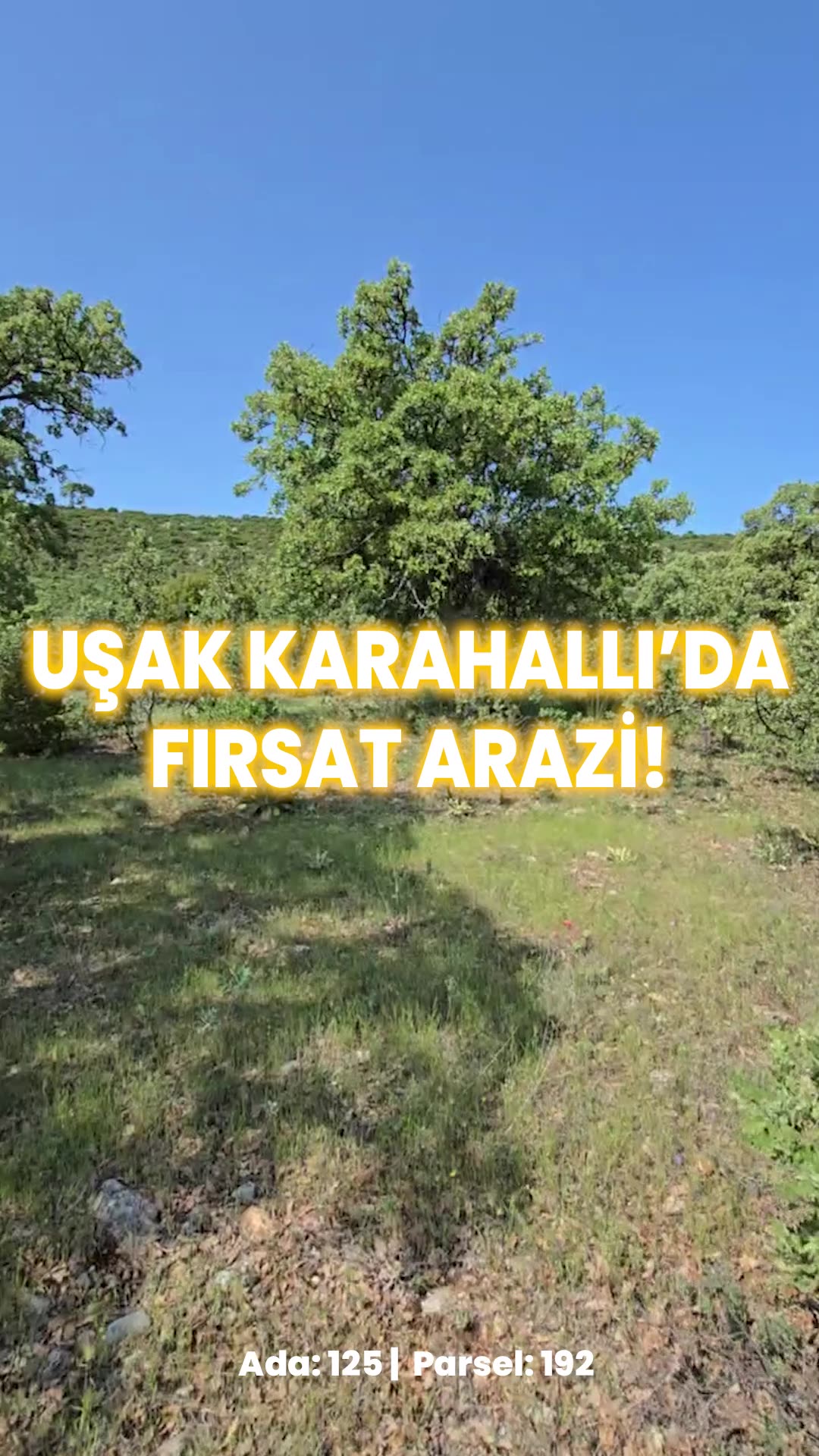 Video önizleme