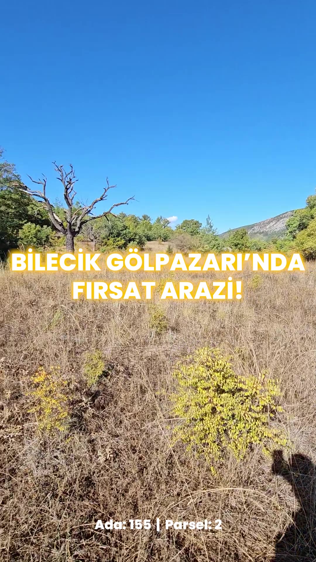 Video önizleme