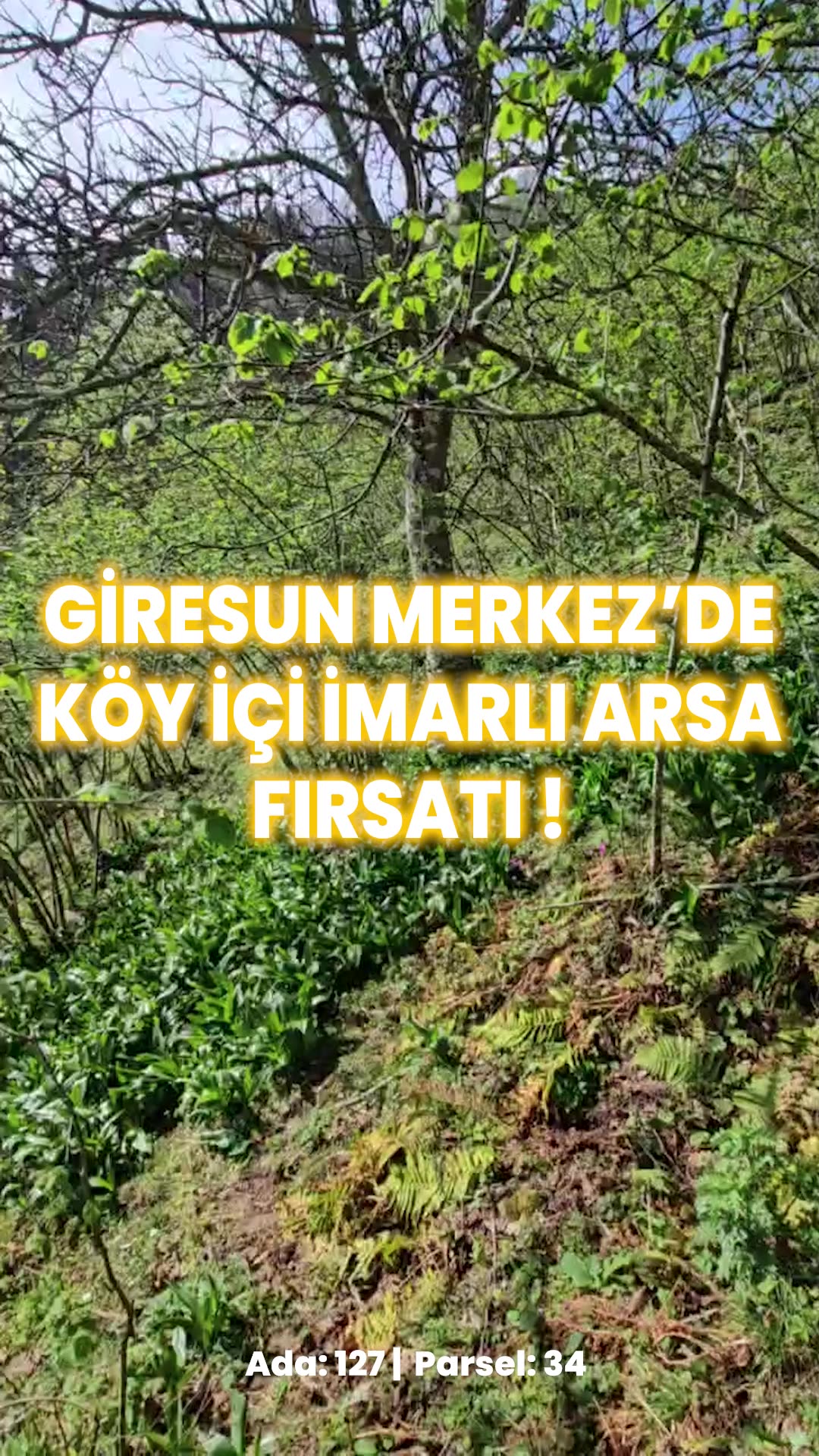 Video önizleme