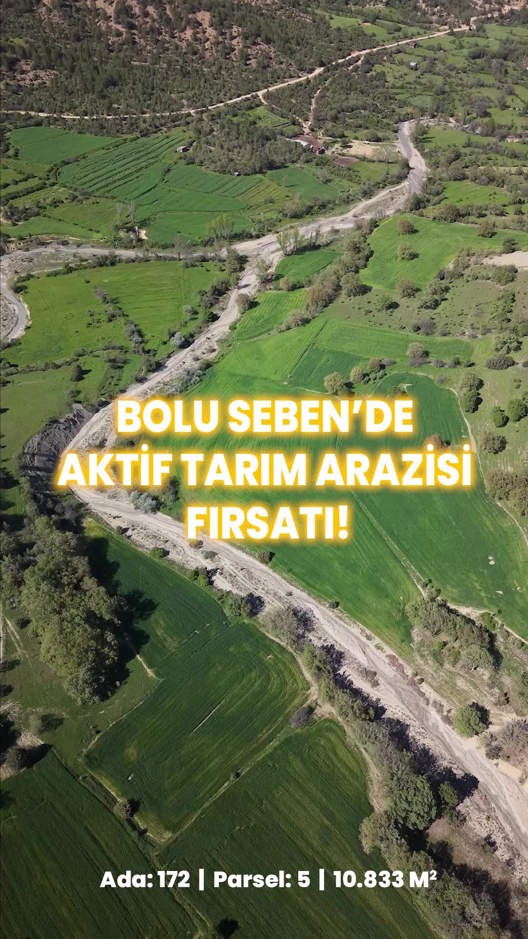Video önizleme