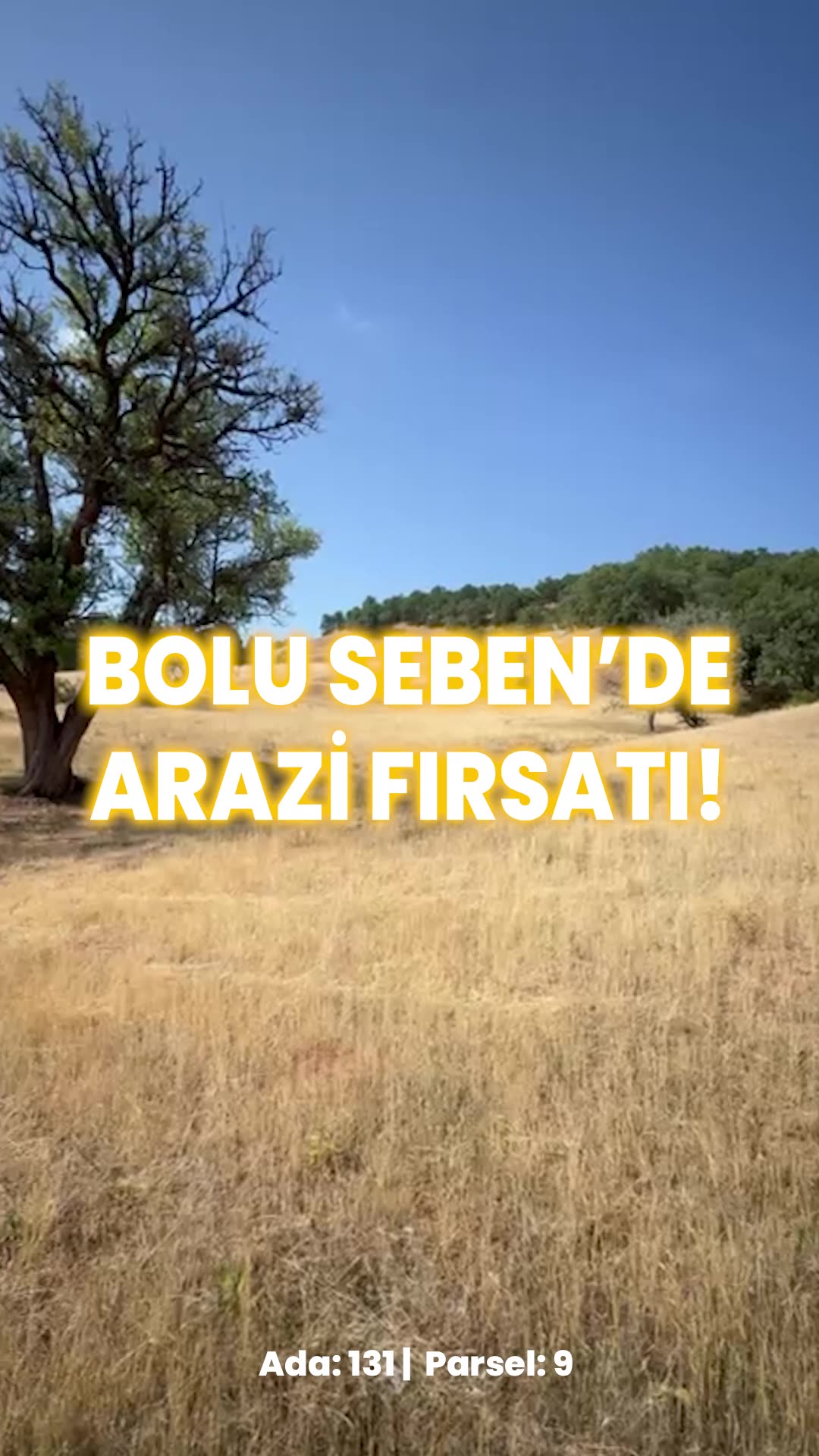 Video önizleme