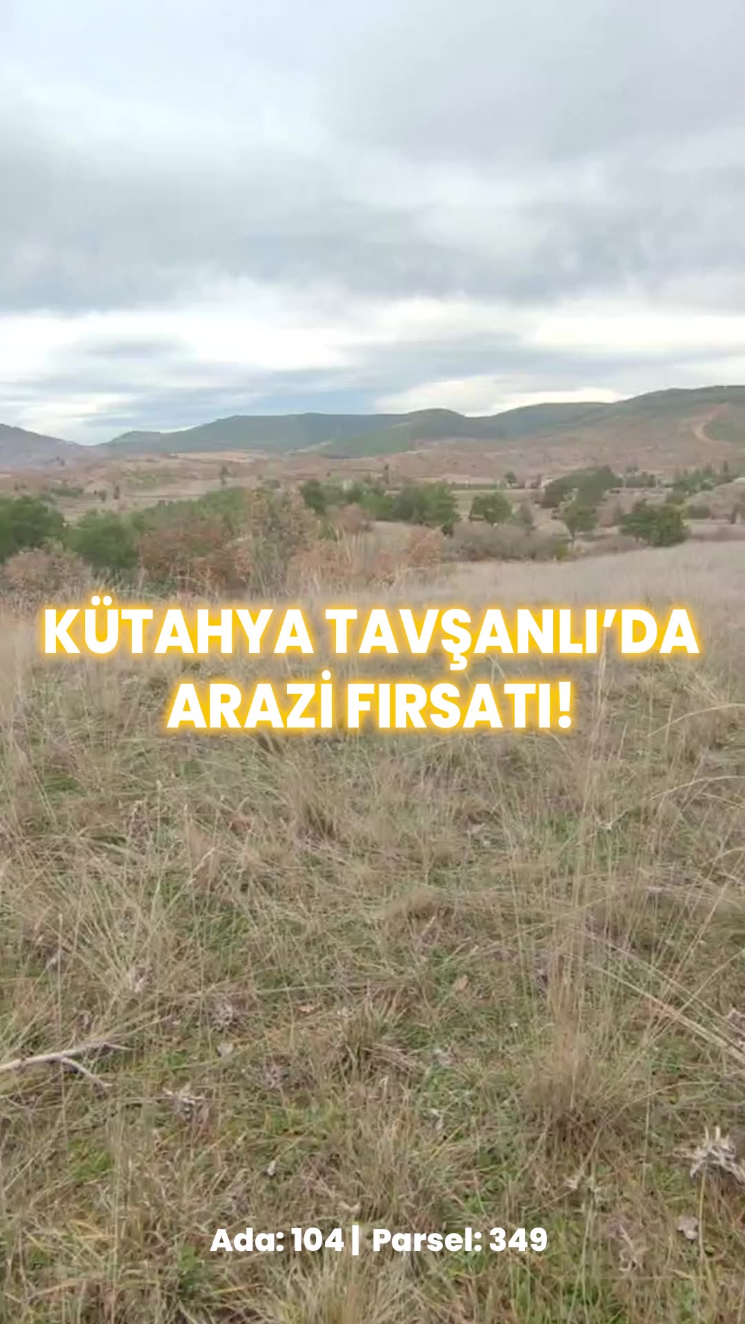 Video önizleme