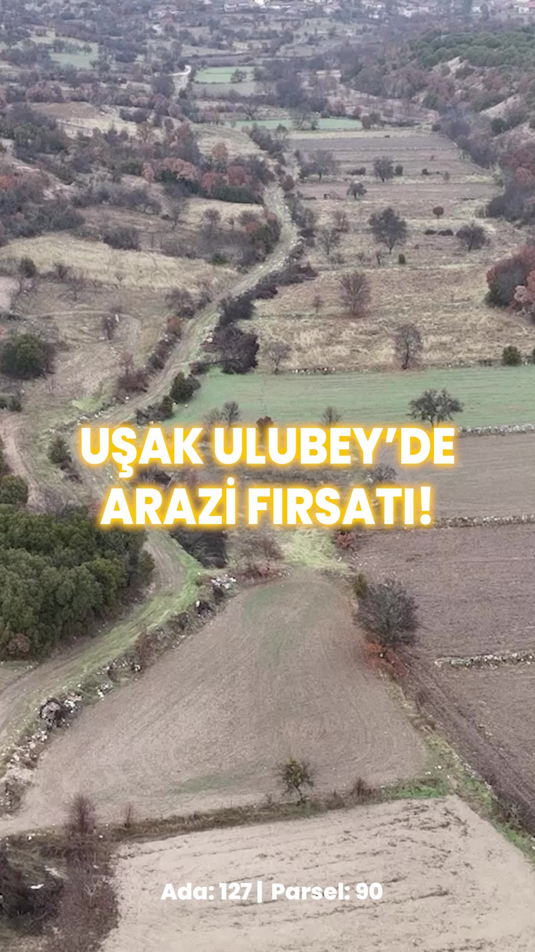Video önizleme