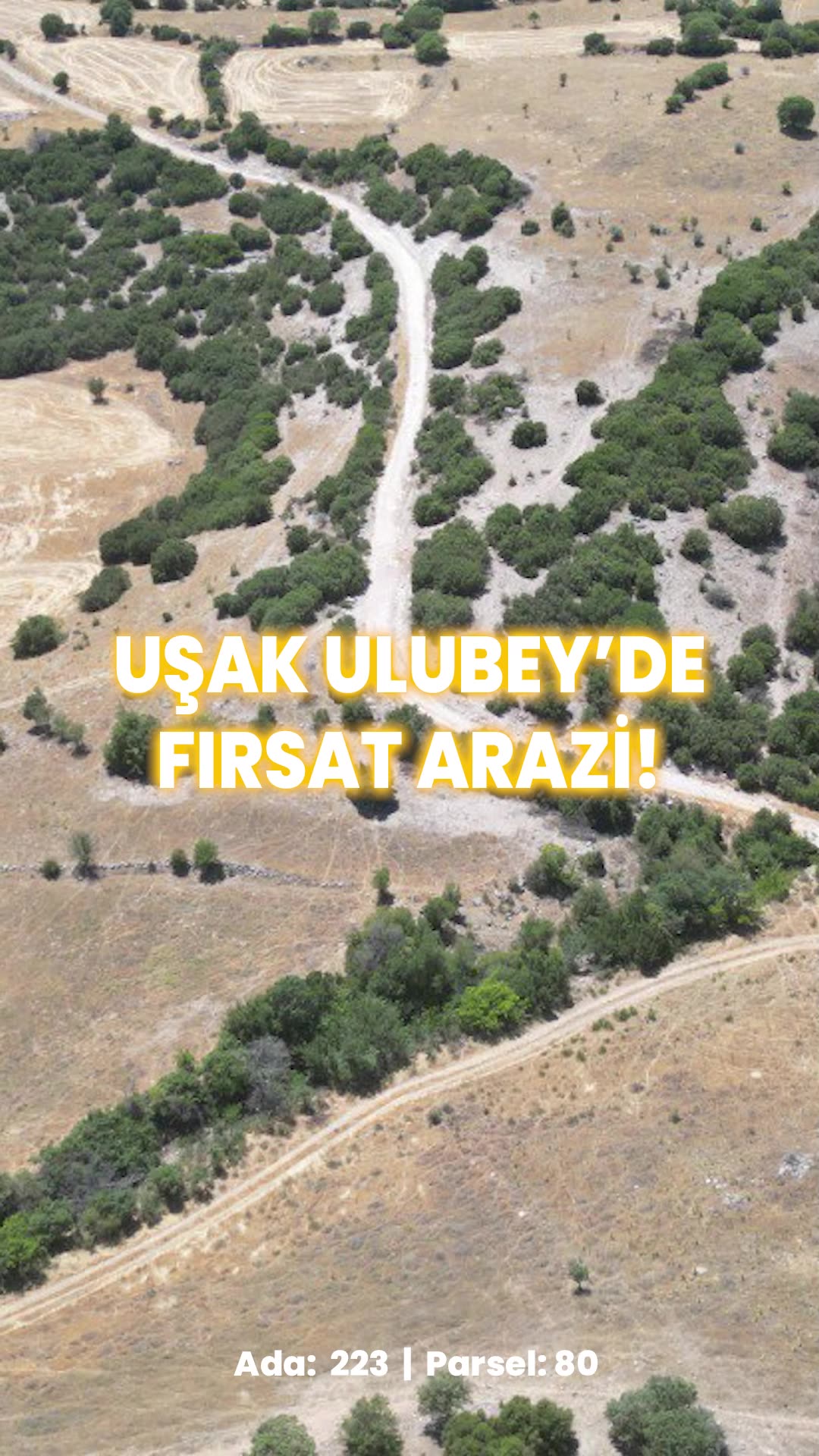 Video önizleme