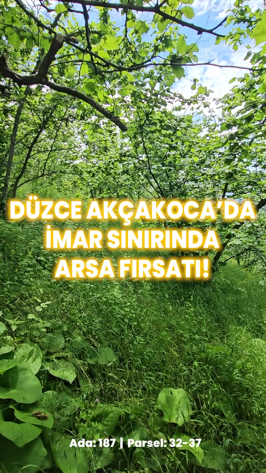 Video önizleme