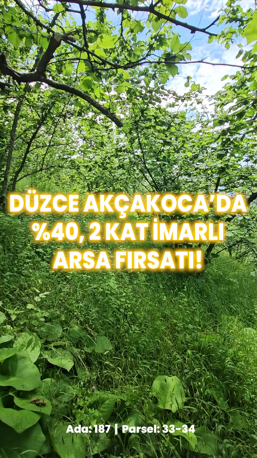 Video önizleme