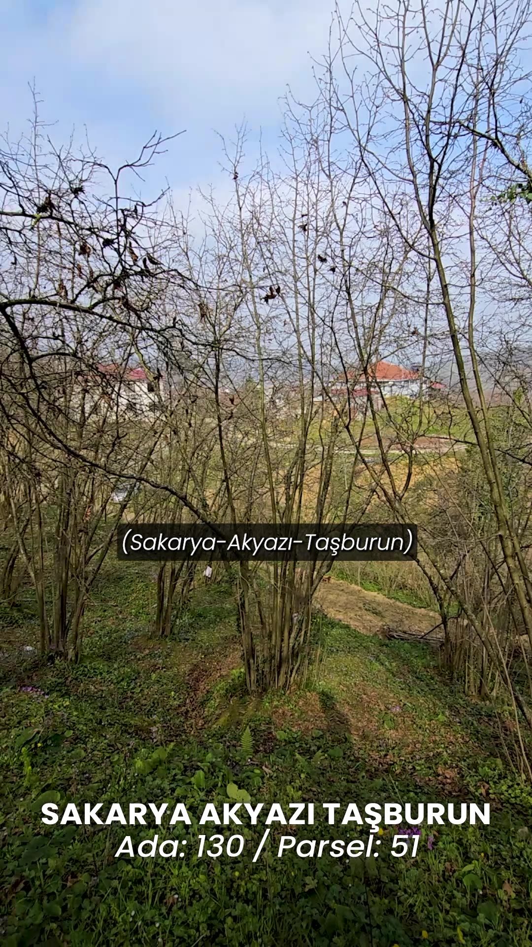 Video önizleme