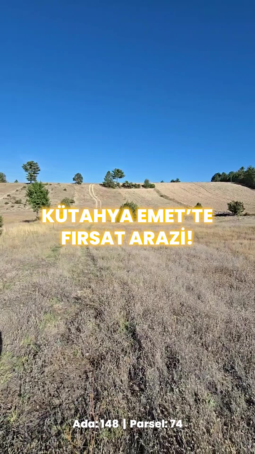 Video önizleme