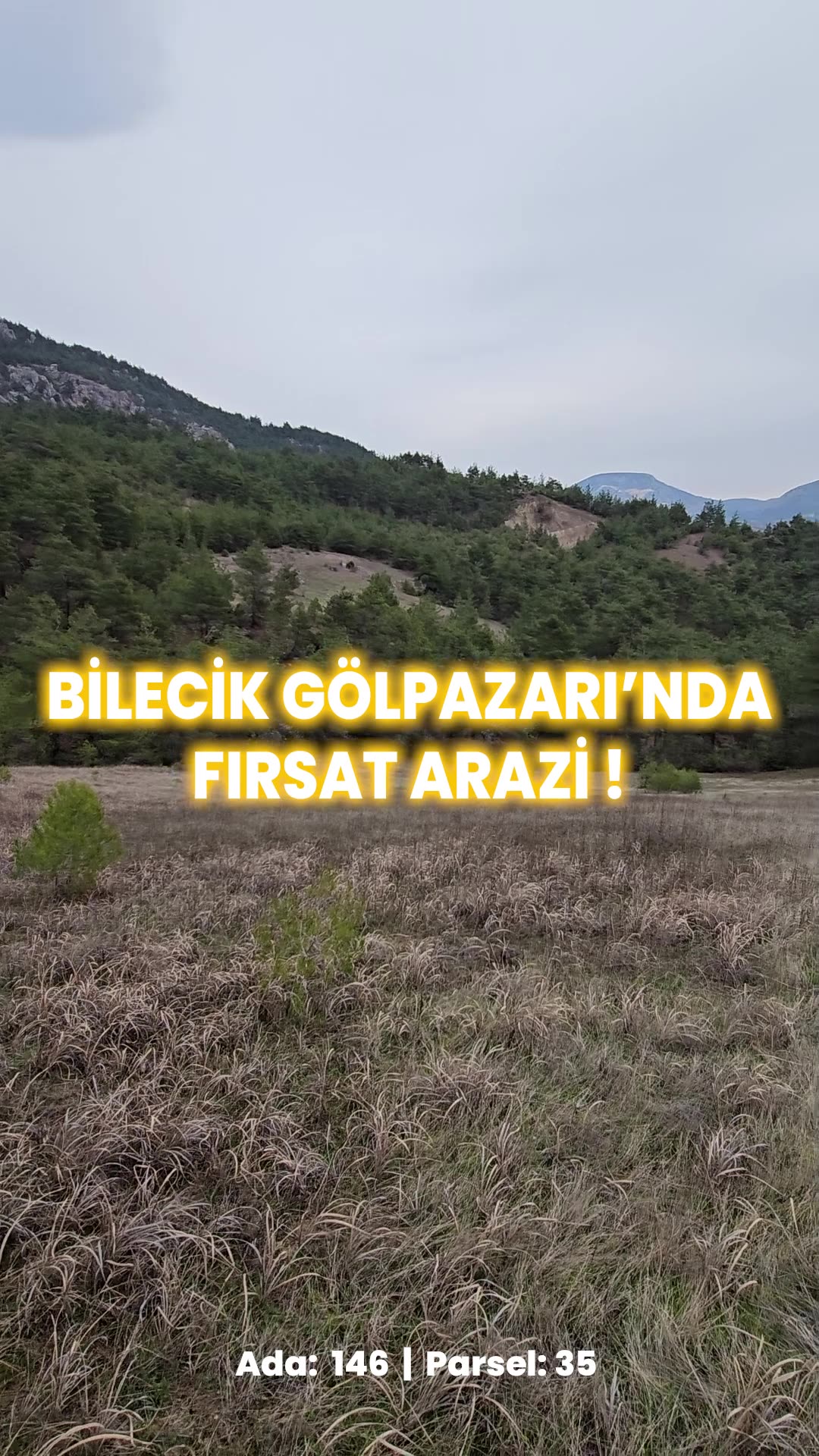 Video önizleme