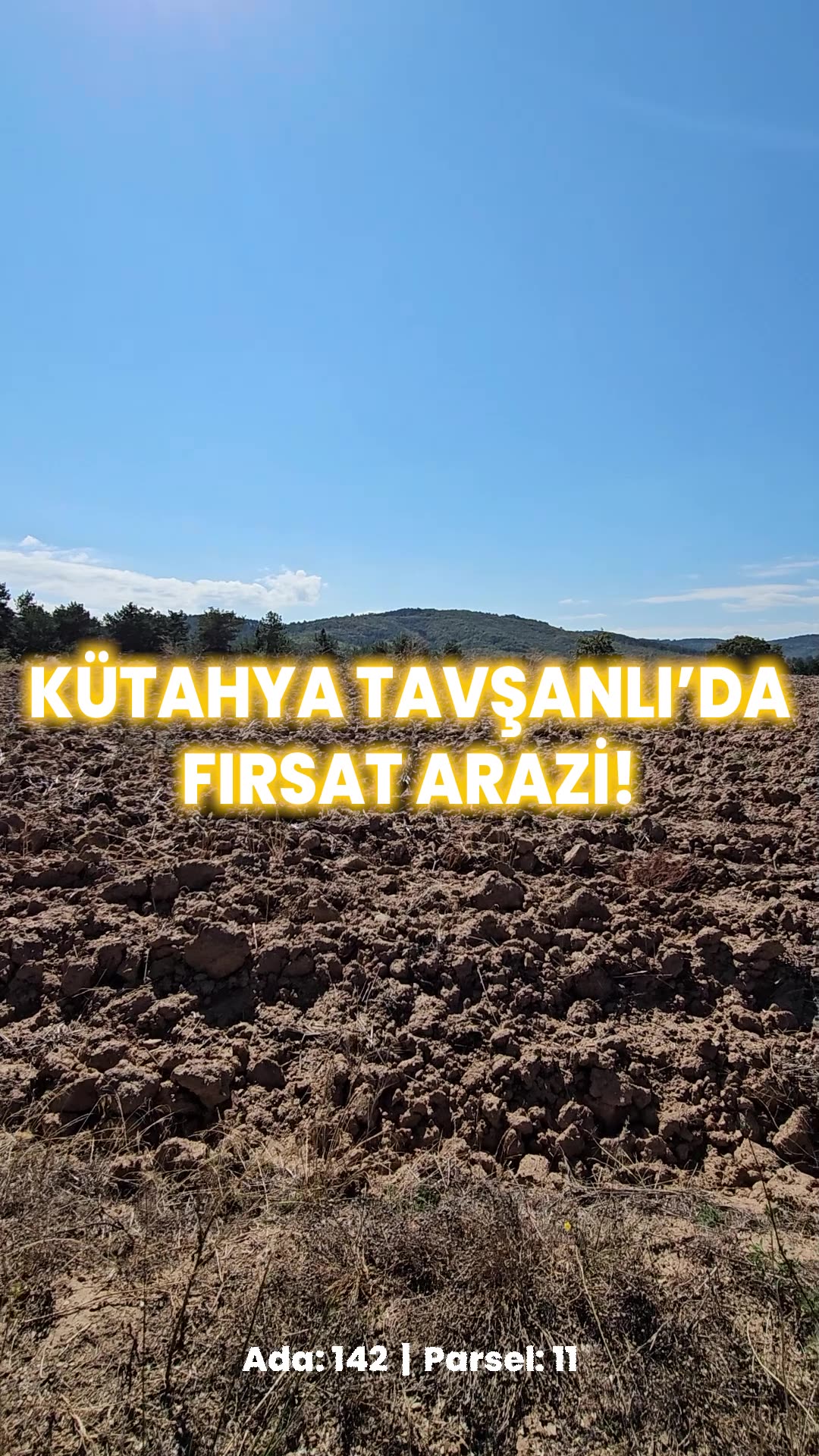 Video önizleme