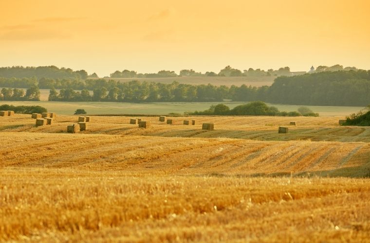 Tapuda müfrez arsa ne demek ve ifraz (ayırma) işleminin detayları.
