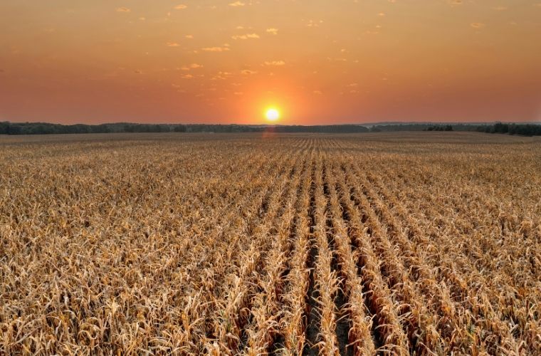 Müfrez arsa satın almanın avantajları ve imar durumu.